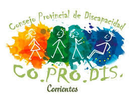 imagen de concejo provincial de discapacidad