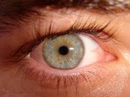 imagen de un ojo humano