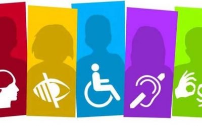 ¿Cuáles son las prestaciones de apoyo o complementarias por discapacidad?