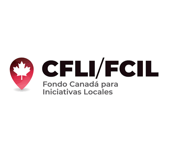 Logo CFLI